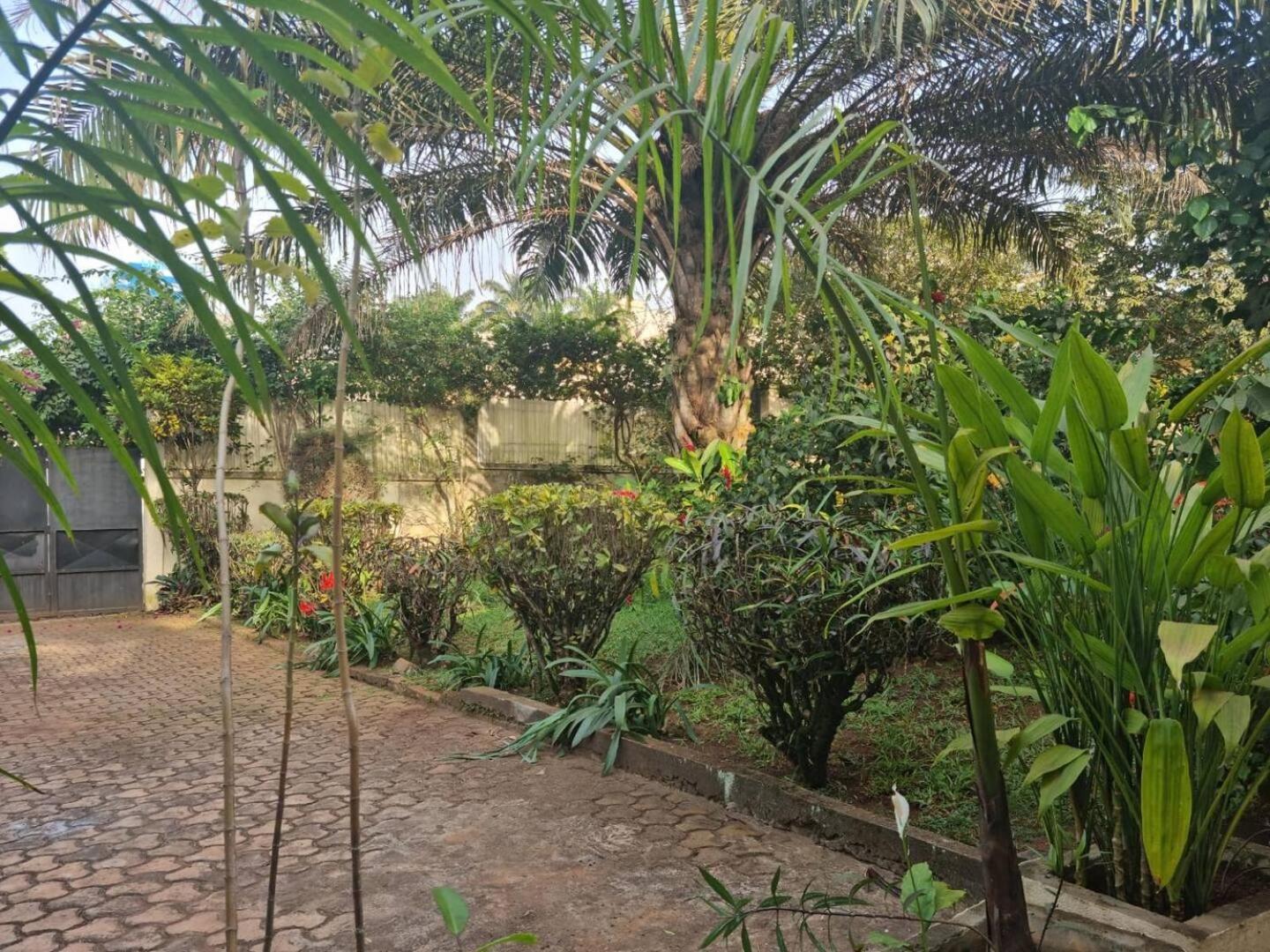 Tout Confort Avec Jardin Entree Bastos Yaoundé Exteriér fotografie